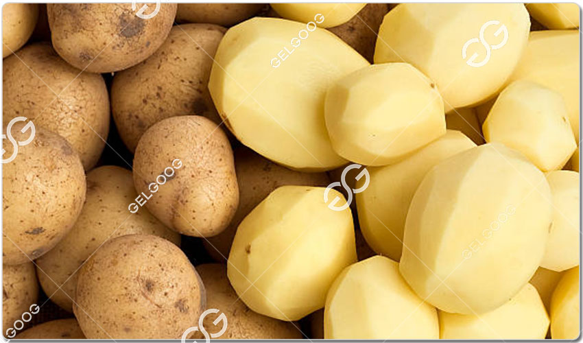 مصنع البطاطس , تجهيز البطاطس , (4).jpg